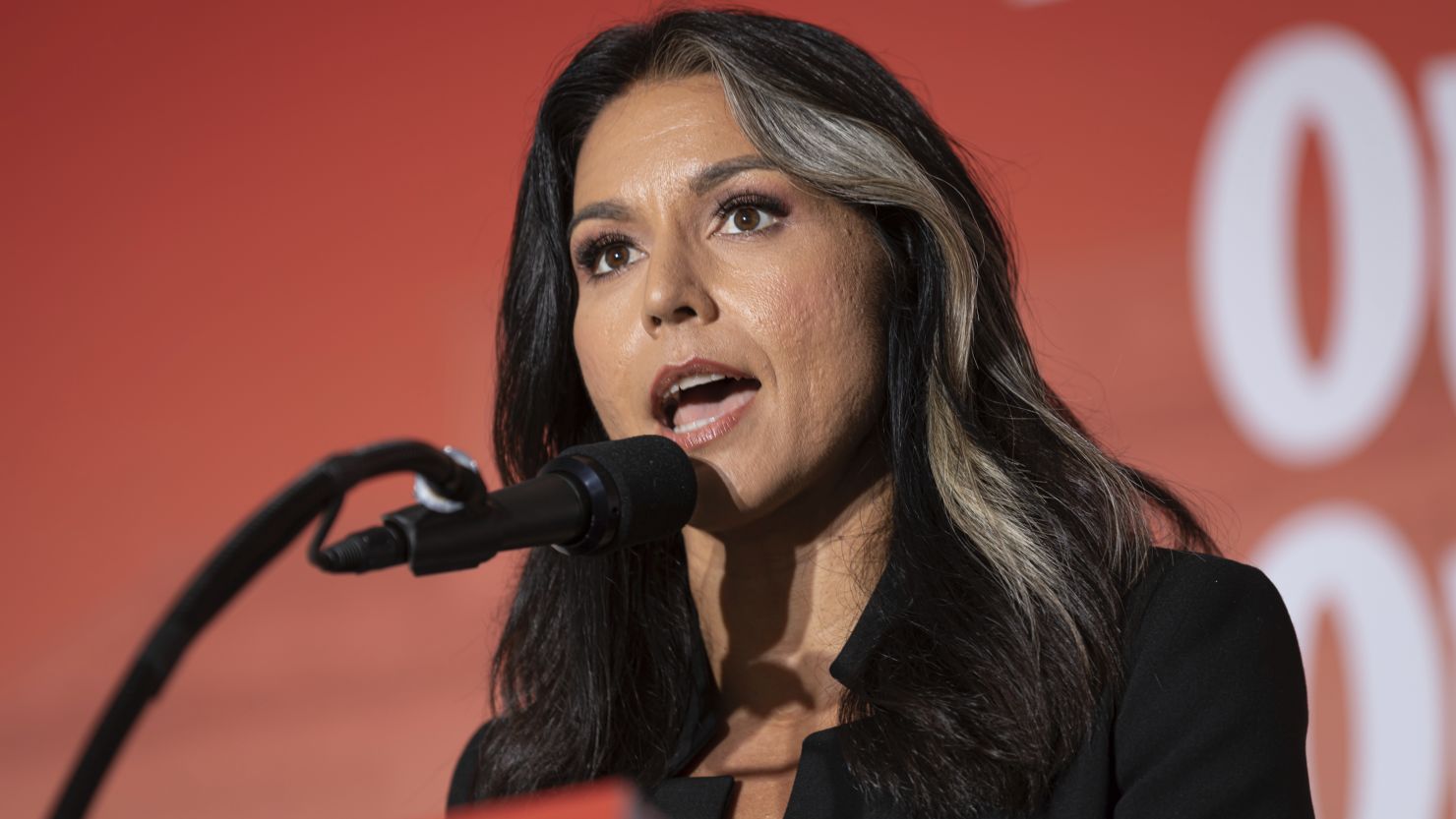 Gabbard to Host Show on X Social Media