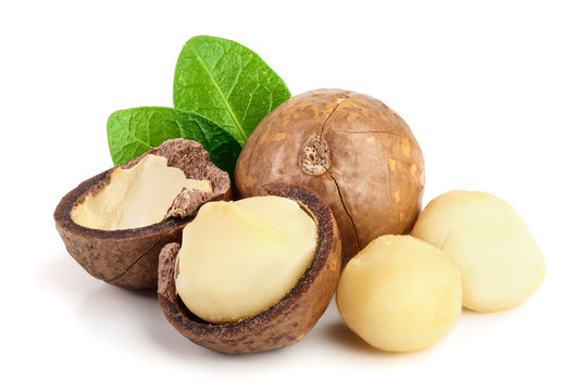 Macadamia Nut Legislation