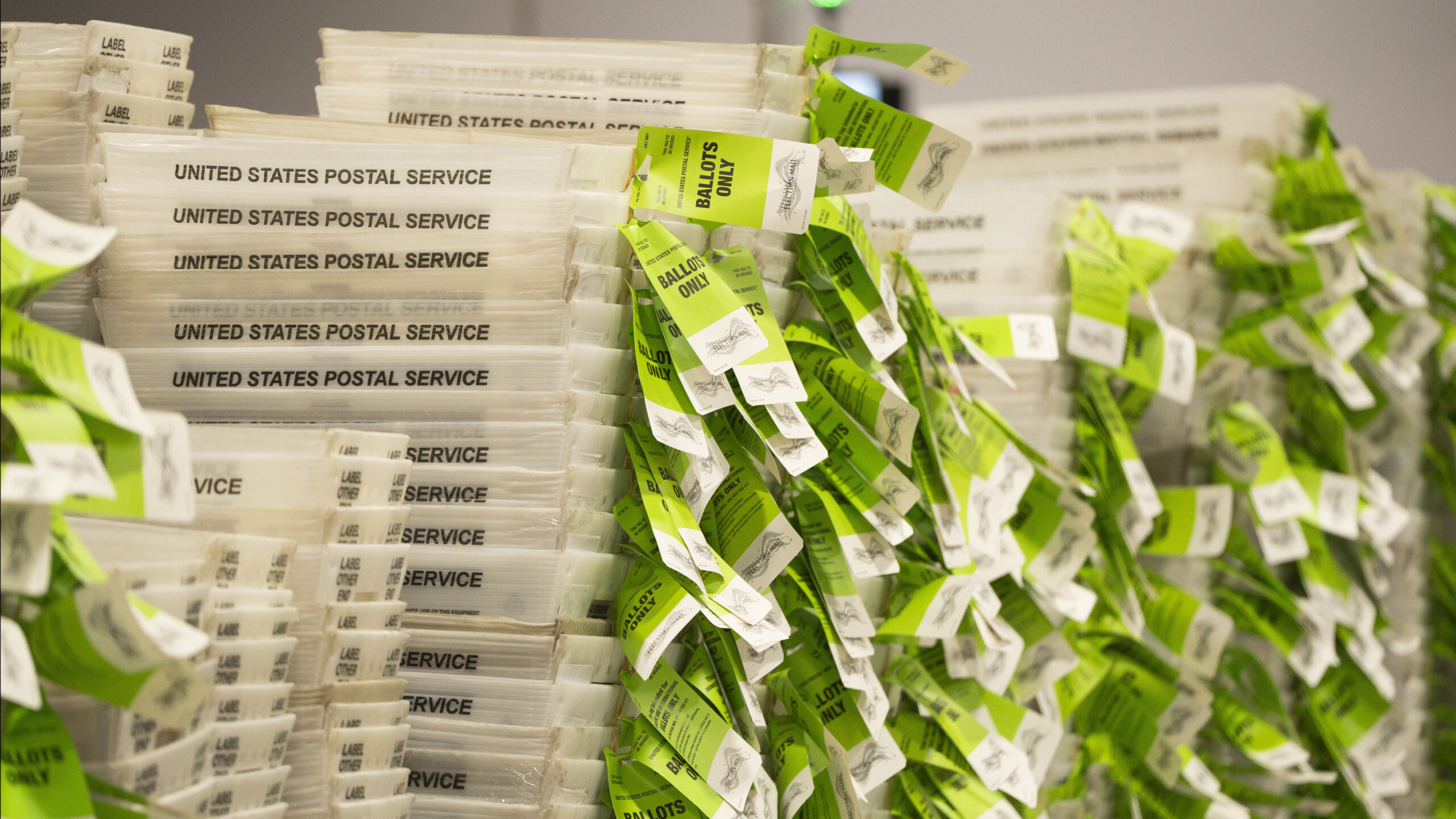 ‘Catastrophic failures’: Whistleblower warns Trump-proposed USPS mail-in ballot system could ‘derail’ midterms
